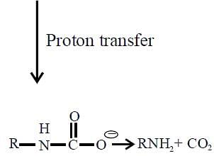 The Reaction Of With Bromine And KOH Gives RNH2 As The End Product ...