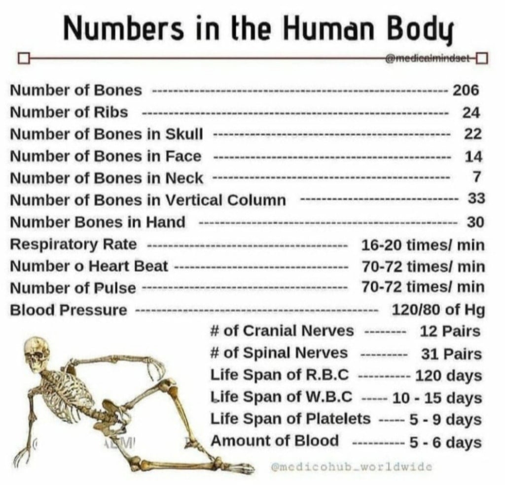 Numbers in the Human body - MBBS PDF Download