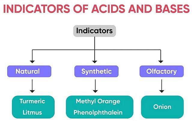 Indicators of Acids and Bases
