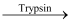 NCERT Solutions: Digestion & Absorption - Notes | Study Biology Class 11 - NEET