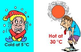 Chapter Notes: Temperature and its Measurement