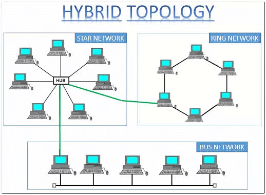 Network Topologies Notes | Study Computer Networks - Computer Science Engineering (CSE)