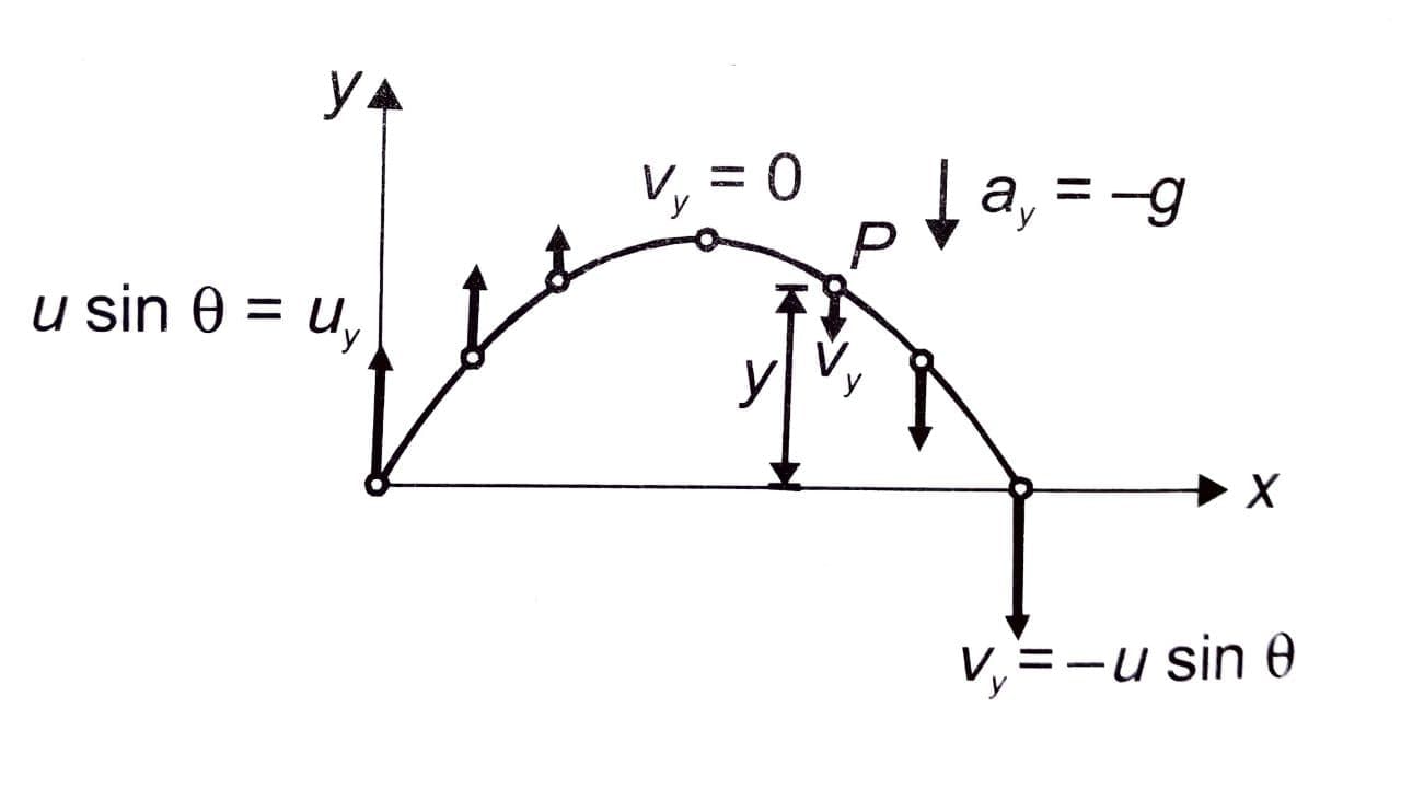 Projectile Motion - Class 11 PDF Download