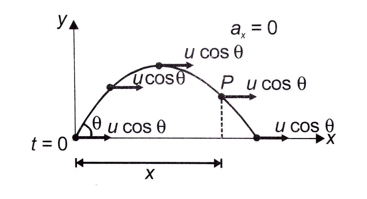 Projectile Motion - Class 11 PDF Download