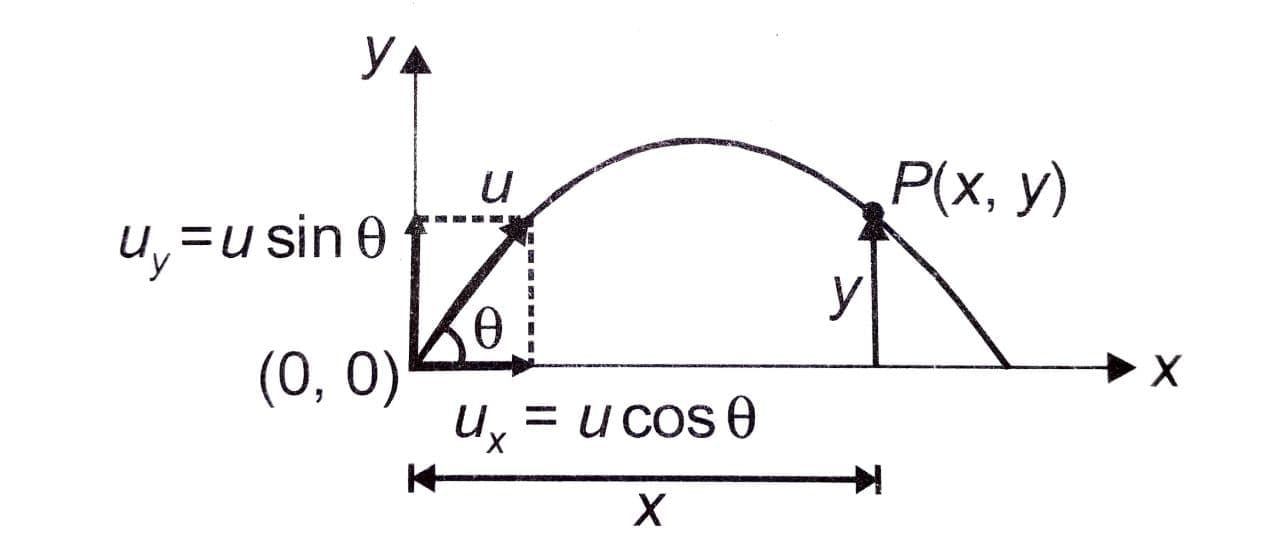 Projectile Motion - Class 11 PDF Download