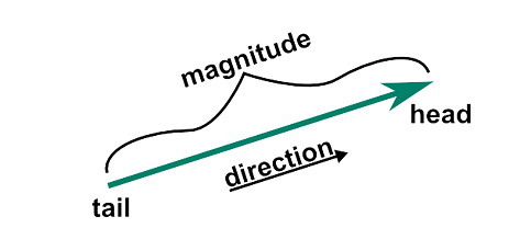 Vector Quantity has both Magnitude and Direction