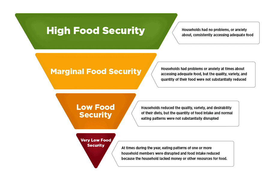 Class 9 Economics Chapter 4 Notes - Food Security in India