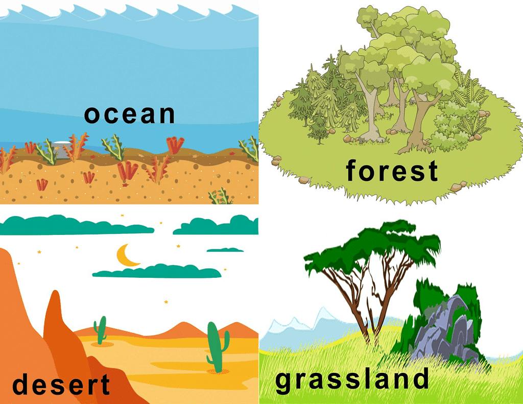 Different Habitats