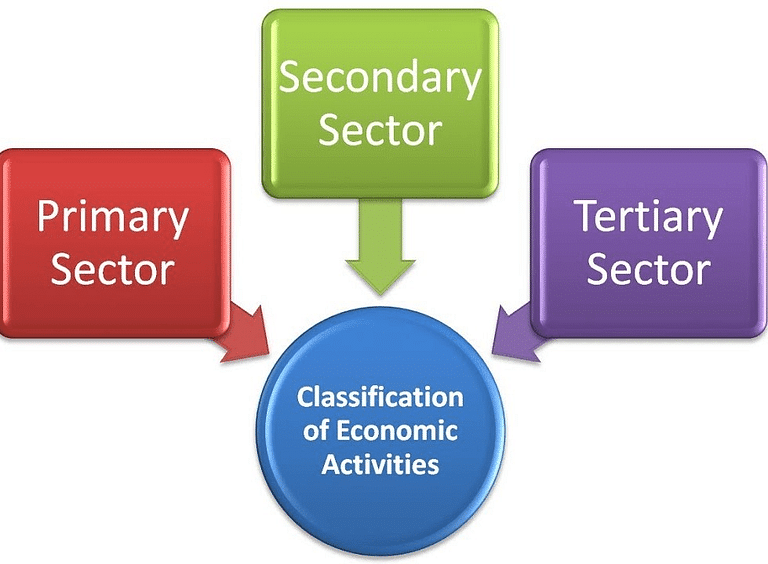 Chapter Notes: Sectors of the Indian Economy Notes | Study Social Studies (SST) Class 10 - Class 10