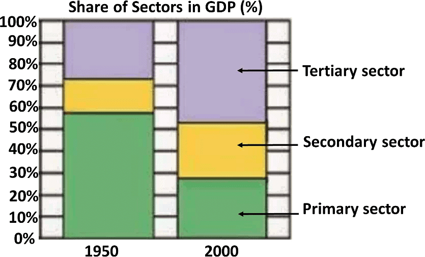 Sectors of the Indian Economy NCERT Solutions | Indian Economy for UPSC CSE