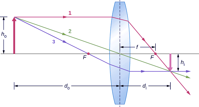 Thin Lenses | Physics for EmSAT Achieve