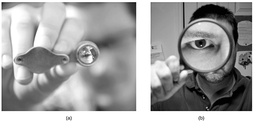 Thin Lenses | Physics for EmSAT Achieve