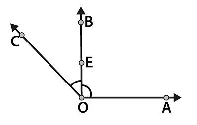 NCERT Solutions for Class 6 Maths Chapter 4 - Basic Geometrical Ideas