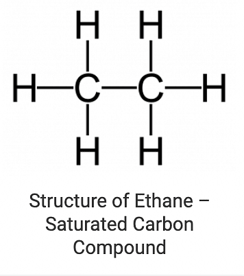 Carbon Compounds & Covalent Bonding in Carbon Compounds Notes | Study Science Class 10 - Class 10