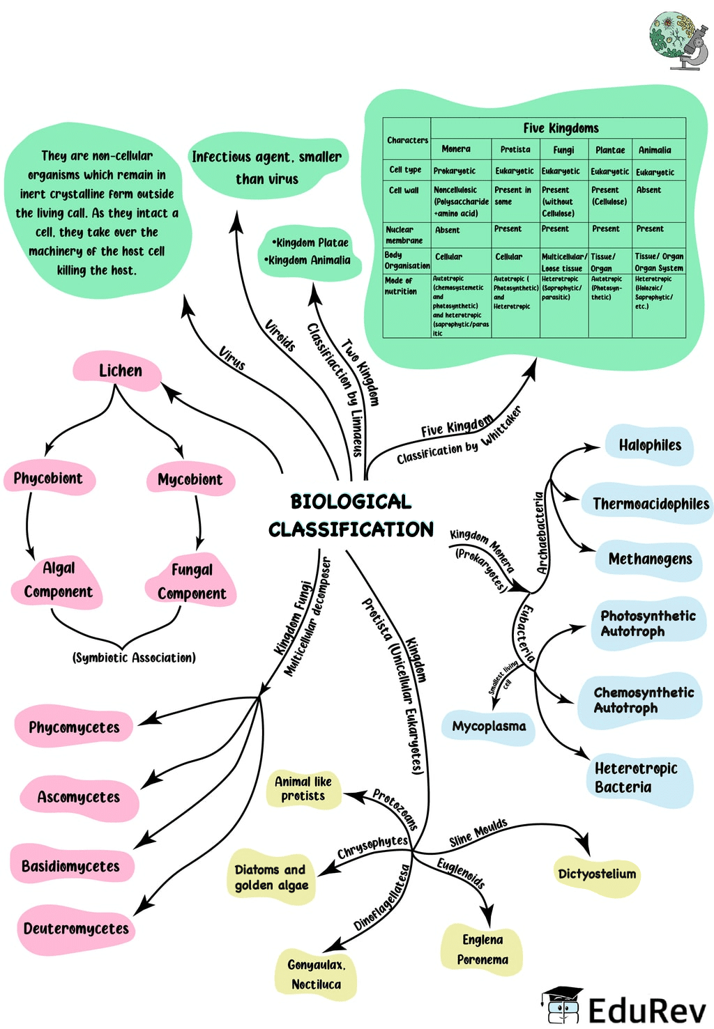 Mindmap: Biological Classification - Notes | Study Biology Class 11 - NEET Mindmap: Biological Classification - Notes | Study Biology Class 11 - NEET
