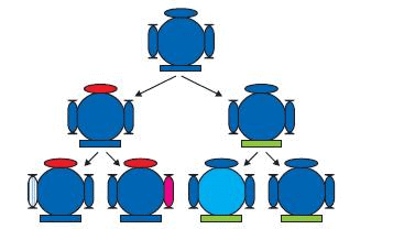 Heredity NCERT Solutions | Science & Technology for UPSC CSE