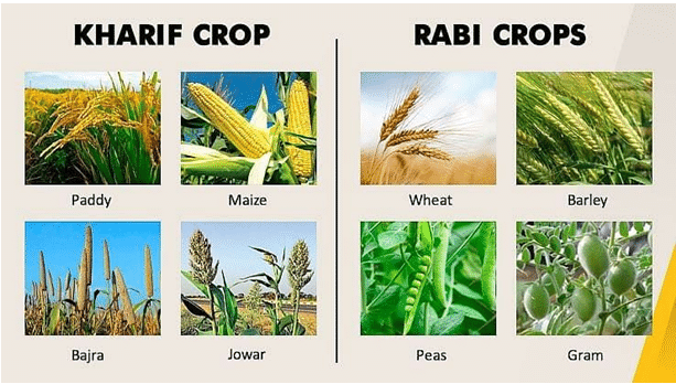 summary-of-the-chapter-crop-production-and-management-class-8-pdf