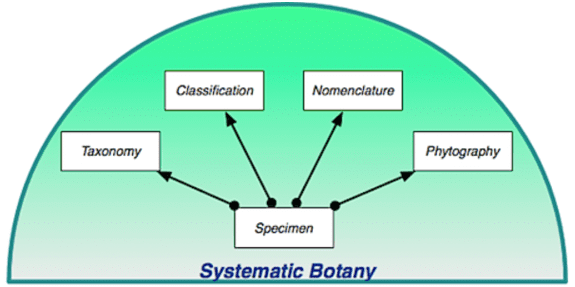 revision-notes-the-living-world-ncert-exemplar-and-revision-notes