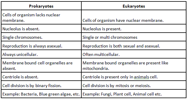 The Fundamental Unit of Life Class 9 Notes Science Chapter 5 Free PDF