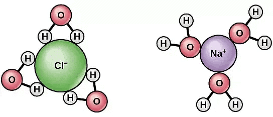 Osmosis, Osmotic Pressure & Van’t Hoff Factor | Chemistry Class 12 - NEET