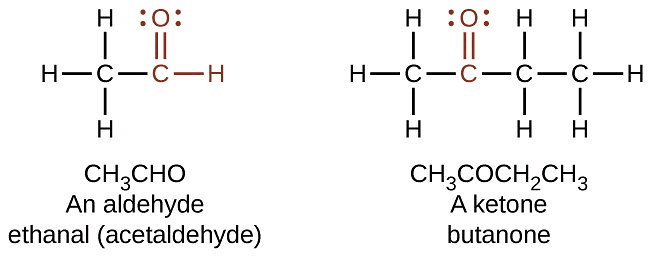 Short & Long Answer Questions: Carbon & its compounds | Science Class 10