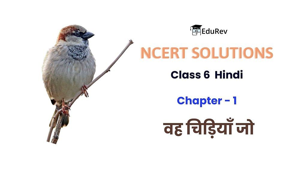 वह चिड़ियाँ जो NCERT Solutions | Hindi (Vasant) Class 6