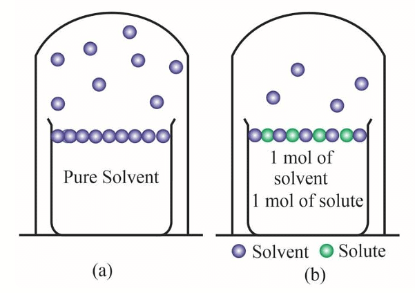 Pure solvent has more number of molecules on the surface (a) as compared to (b) that has a non-volatile solute added to the solution