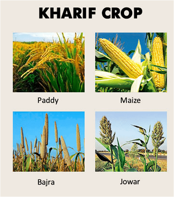 MCQ (Solution) Crop Production Management Science Class 8 PDF Download