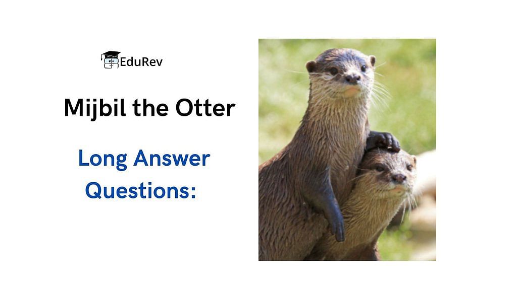 Mijbil the Otter Class 10 Extra Questions and Answers