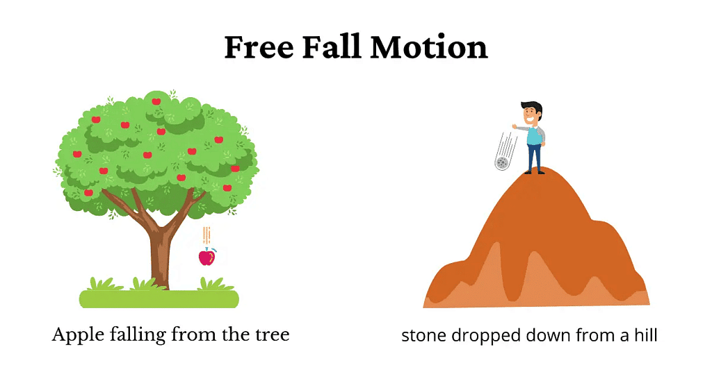 Free Fall Motion