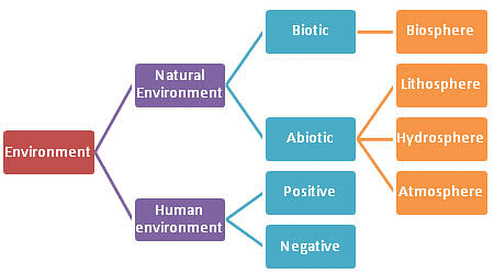 Our Environment Chapter Notes | Social Studies (SST) Class 7