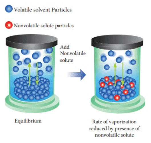 Vapour Pressure of Liquid Solutions: Raoult’s Law | Chemistry Class 12 - NEET
