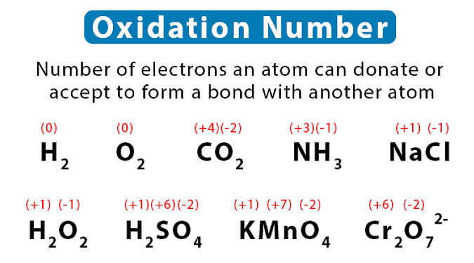 NEET Previous Year Questions (2014-2023): Redox Reactions - Chemistry ...