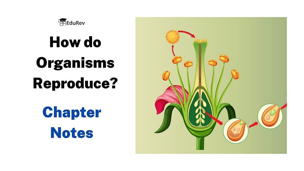 How do Organisms Reproduce Chapter Notes | Science Class 10