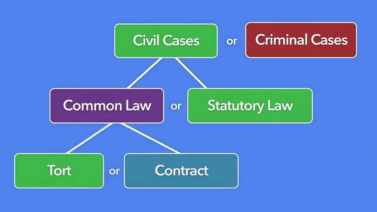 Tort Law Cases - Notes | Study Legal Reasoning for CLAT - CLAT