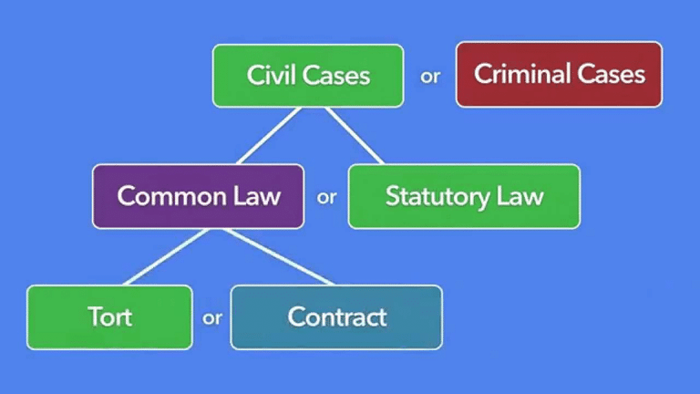 Tort Law Cases - Notes | Study Legal Reasoning for CLAT - CLAT