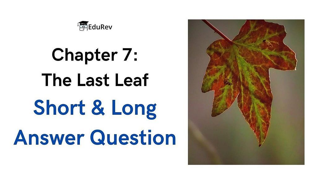 The Last Leaf Summary Class 9 English  CBSE Guides