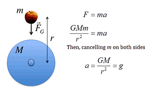 Calculation of acceleration due to gravity
