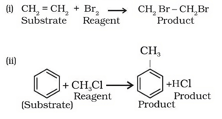 Example of Organic Reactions