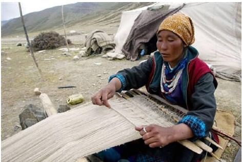 Woman weaving a Pashmina Shawl