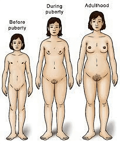 Changes in Body