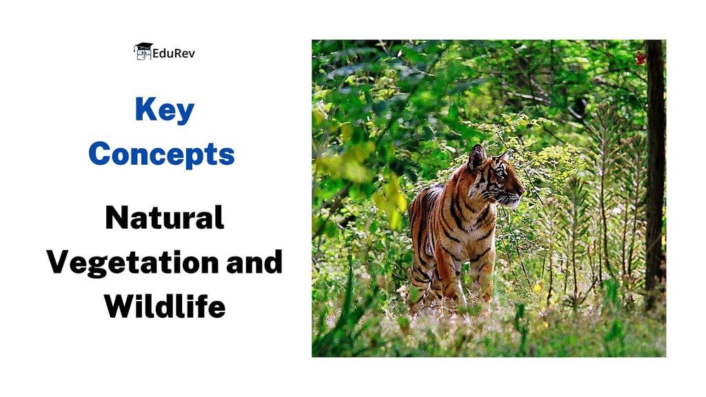 Natural vegetation and on sale wildlife class 7