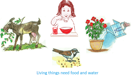 Chapter Notes: Living & Non-Living Things Notes | Study Science for Class 3 - Class 3