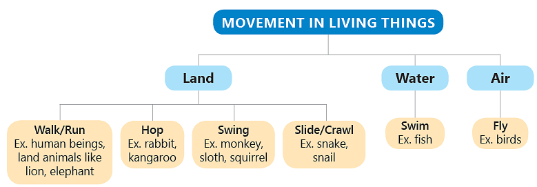 Chapter Notes: Living & Non-Living Things Notes | Study Science for Class 3 - Class 3
