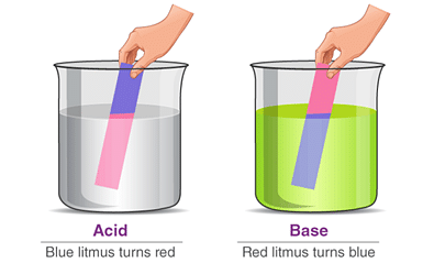 NCERT Solutions: Acids, Bases & Salts Notes | Study Science Class 7 - Class 7
