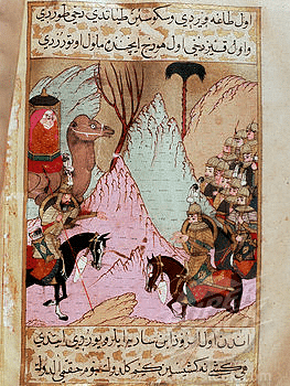 Battle of Camel