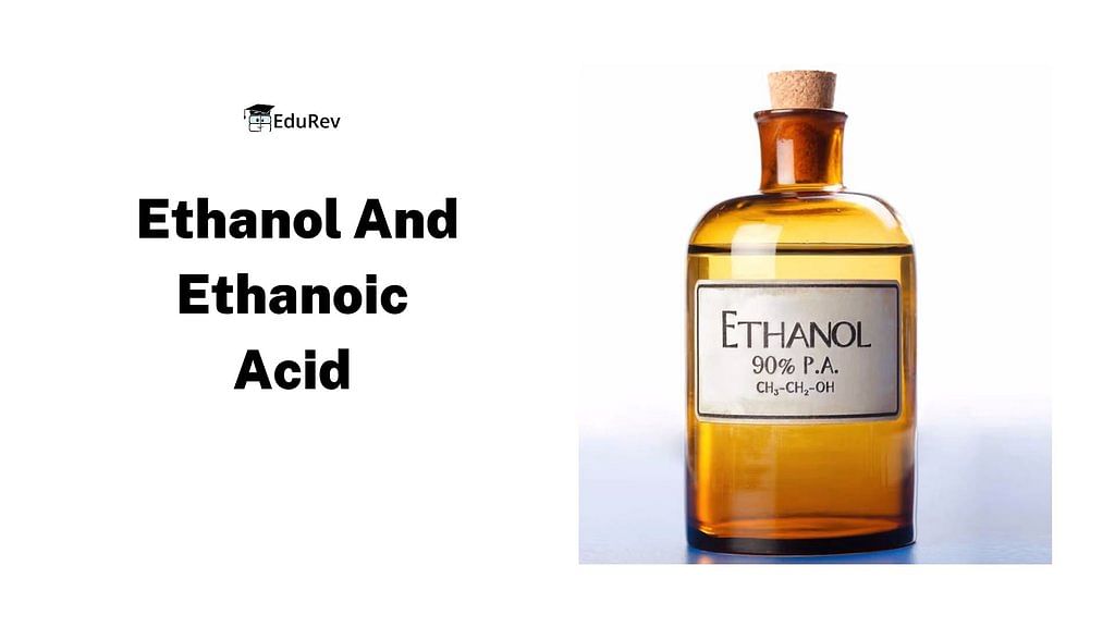 Some Important Carbon Compounds – Ethanol And Ethanoic Acid | Science Class 10