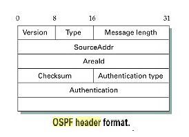 Link State (OSPF) Notes | Study Computer Networks - Computer Science Engineering (CSE)