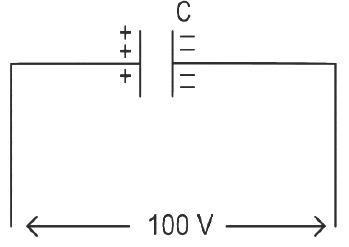 NEET Previous Year Questions (2014-2024): Current Electricity | Physics Class 12