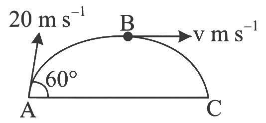 NEET Previous Year Questions (2014-2024): Motion in a Plane | Physics Class 11